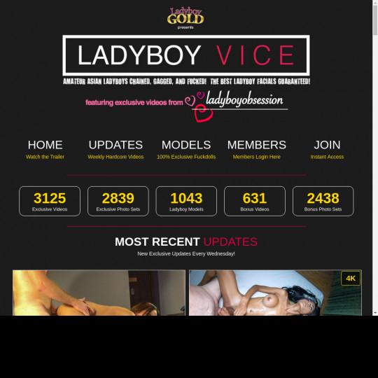 ladyboy vice